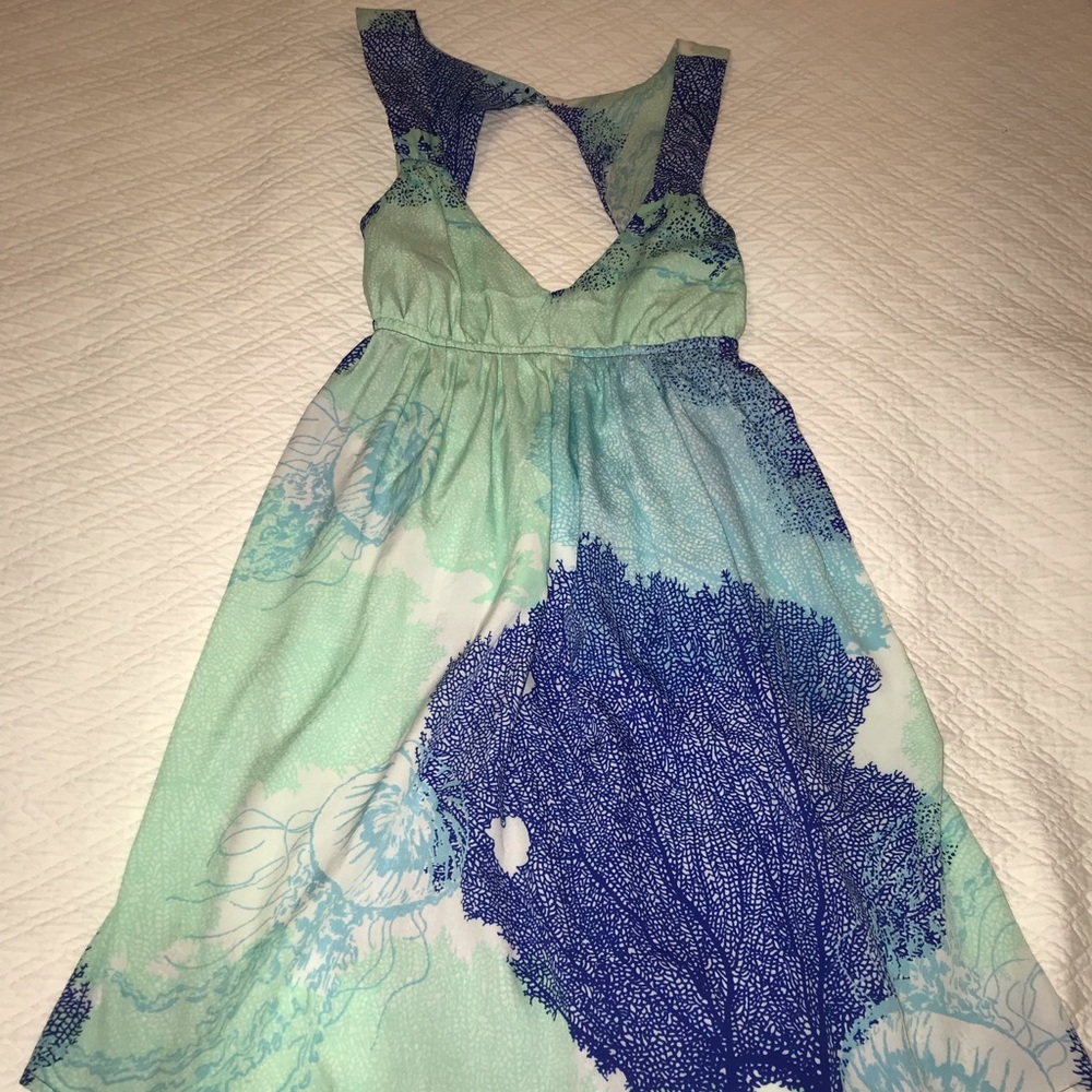 Roxy Dress